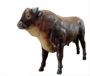 Deko Stier XL